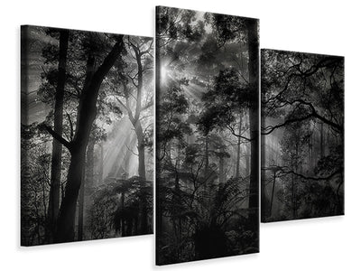 modern-3-piece-canvas-print-primary-forest