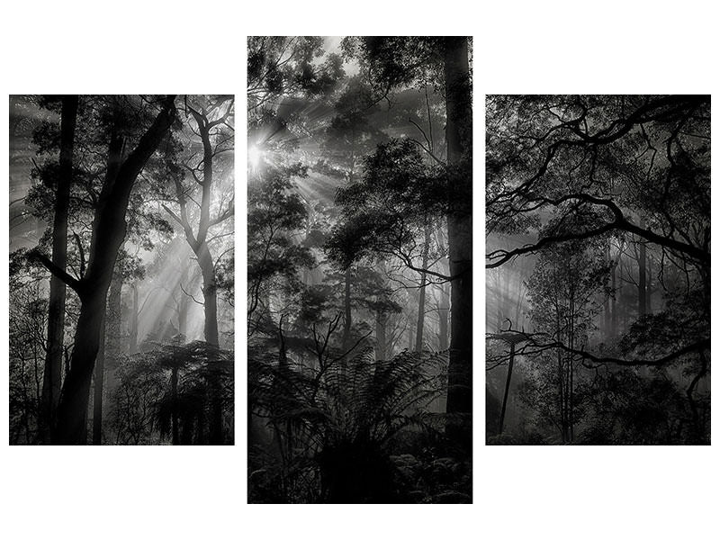 modern-3-piece-canvas-print-primary-forest