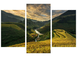 modern-3-piece-canvas-print-riceterrace