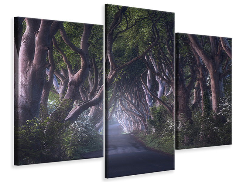 modern-3-piece-canvas-print-the-dark-hedges