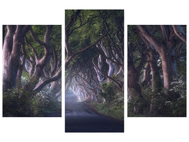 modern-3-piece-canvas-print-the-dark-hedges