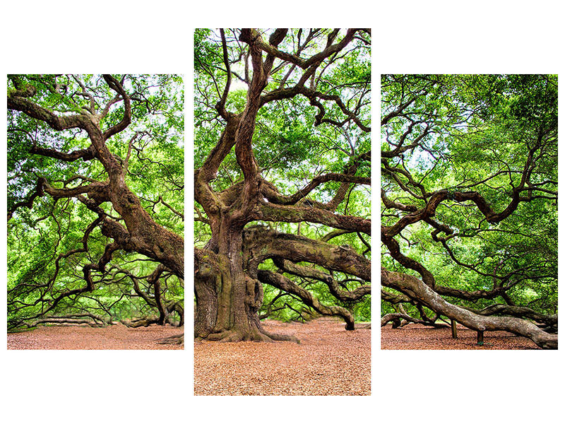 modern-3-piece-canvas-print-the-oak