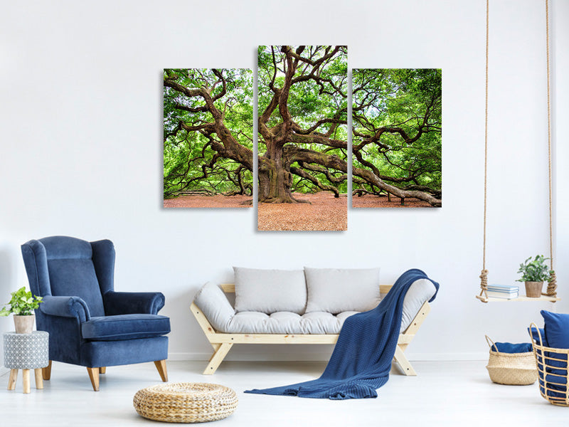 modern-3-piece-canvas-print-the-oak