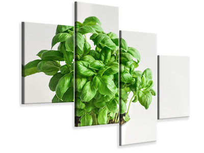 modern-4-piece-canvas-print-basil-in-the-pot