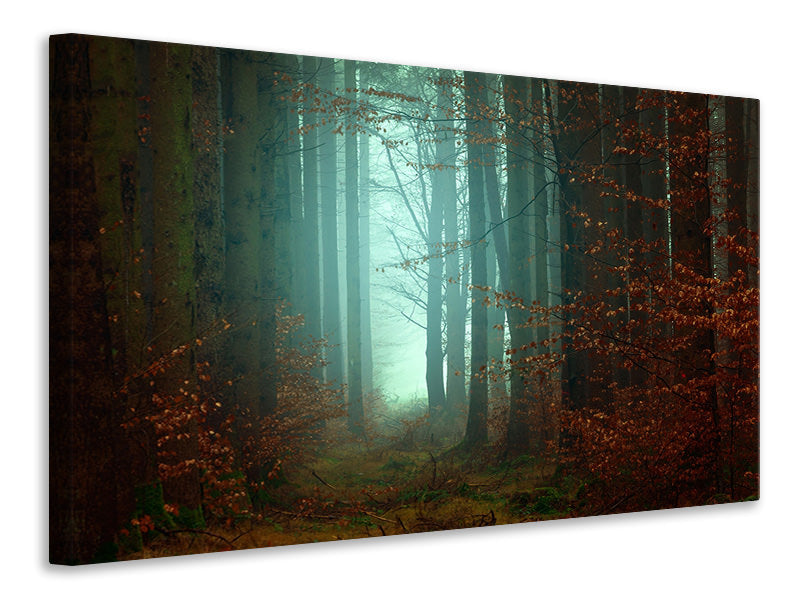 modern-4-piece-canvas-print-mood-in-the-forest