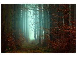 5-piece-canvas-print-mood-in-the-forest