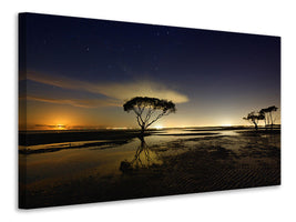4-piece-canvas-print-moonrise
