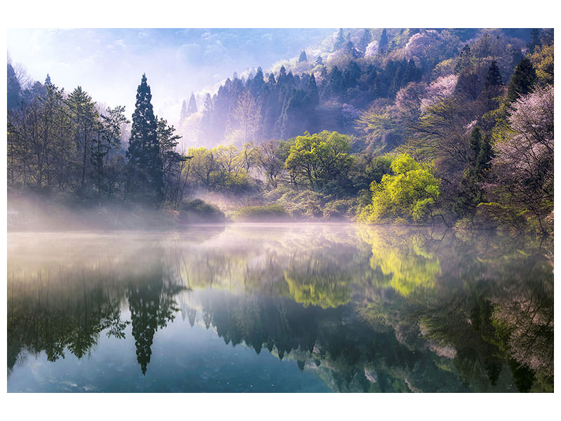 3-piece-canvas-print-morning-calm