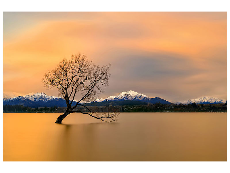 panoramic-3-piece-canvas-print-morning-glow-of-the-lake-wanaka