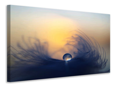 modern-4-piece-canvas-print-morning-ii