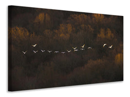 panoramic-canvas-print-morning-mood