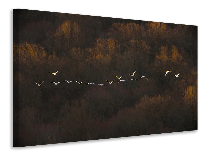 4-piece-canvas-print-morning-mood