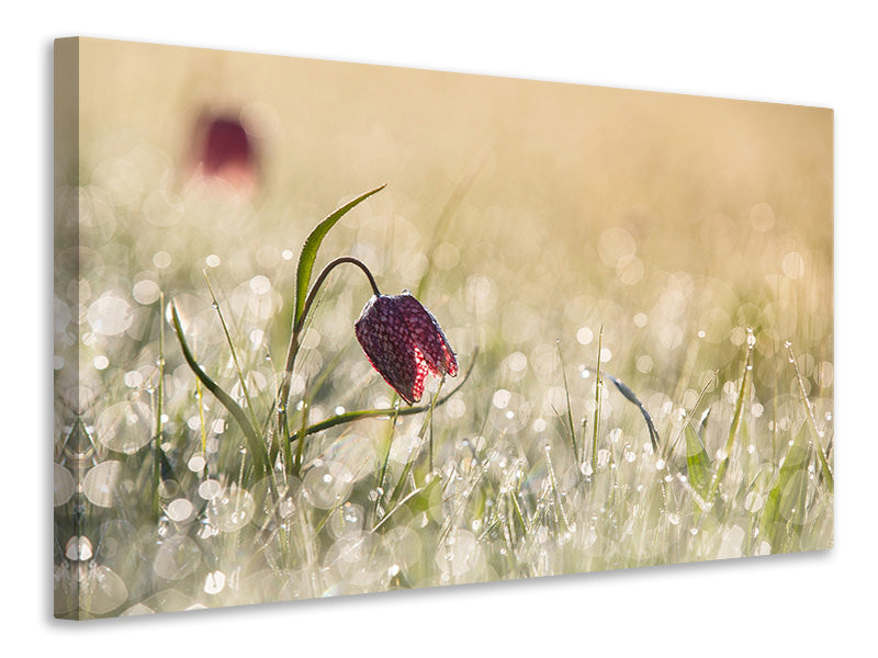 3-piece-canvas-print-morningdew