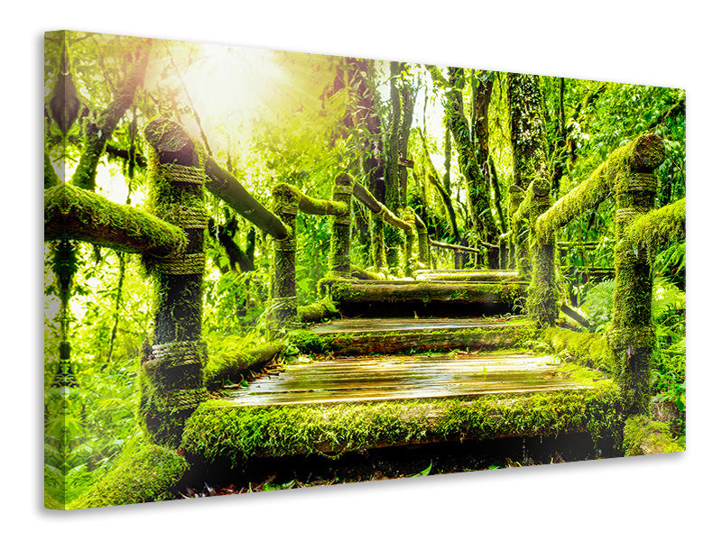 modern-4-piece-canvas-print-moss