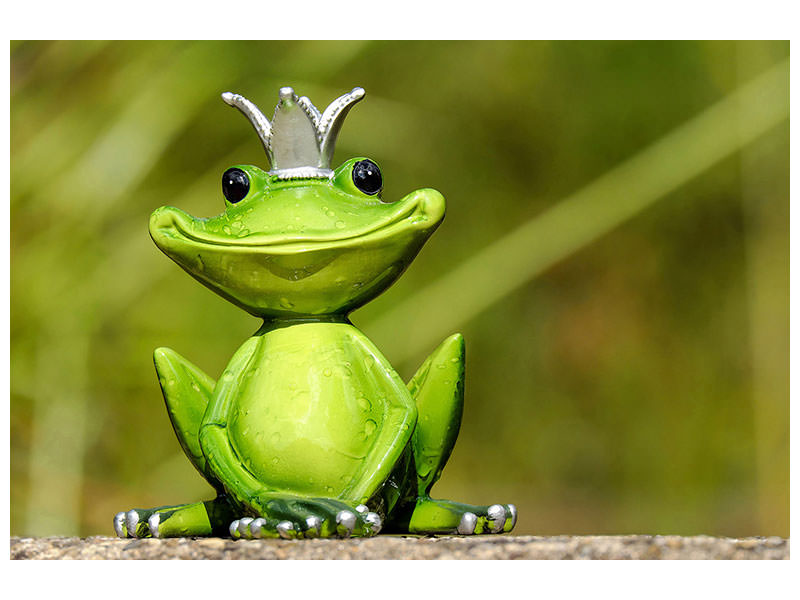 3-piece-canvas-print-mr-frog-king