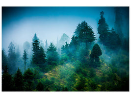 5-piece-canvas-print-mysterious-forest-ii