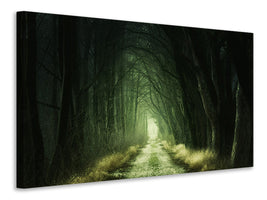 5-piece-canvas-print-mysterious-forest-iii