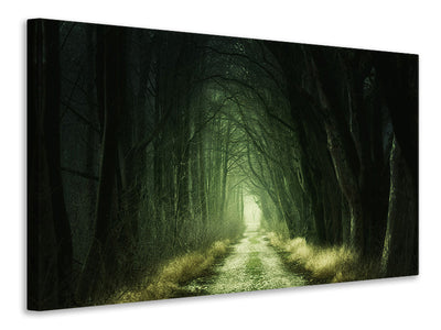 4-piece-canvas-print-mysterious-forest-iii
