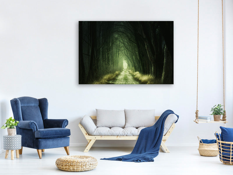 5-piece-canvas-print-mysterious-forest-iii