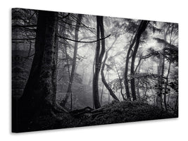 panoramic-3-piece-canvas-print-mysterious-light