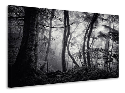 modern-4-piece-canvas-print-mysterious-light