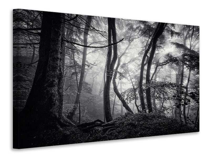 3-piece-canvas-print-mysterious-light