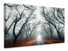 modern-4-piece-canvas-print-mysterious-mood-in-the-forest