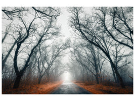 5-piece-canvas-print-mysterious-mood-in-the-forest