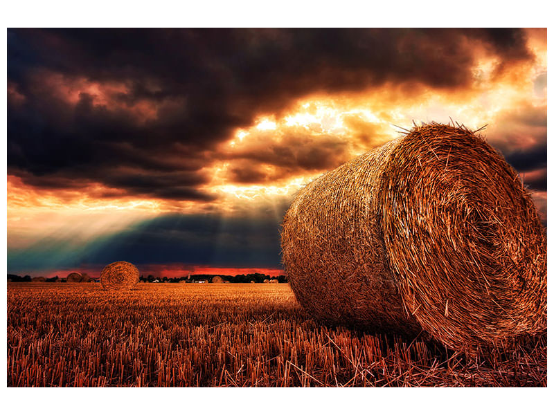 3-piece-canvas-print-mystic-landscape