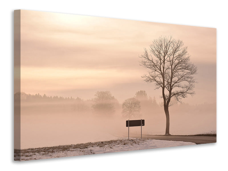 3-piece-canvas-print-mystic-mood-in-nature