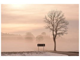 3-piece-canvas-print-mystic-mood-in-nature