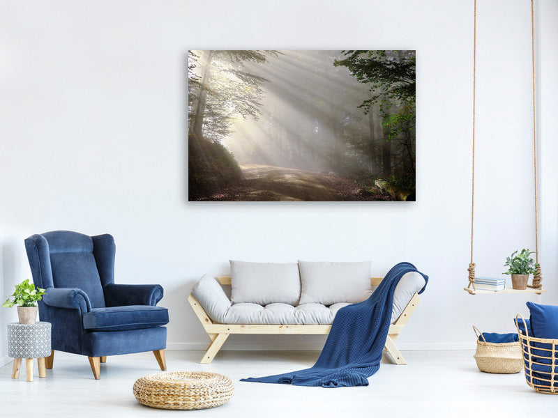 3-piece-canvas-print-mystical-light-in-the-forest