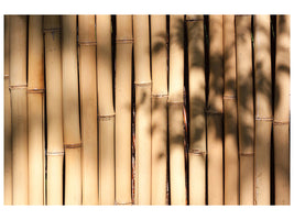 panoramic-3-piece-canvas-print-natural-bamboo