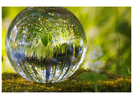 5-piece-canvas-print-nature-ball