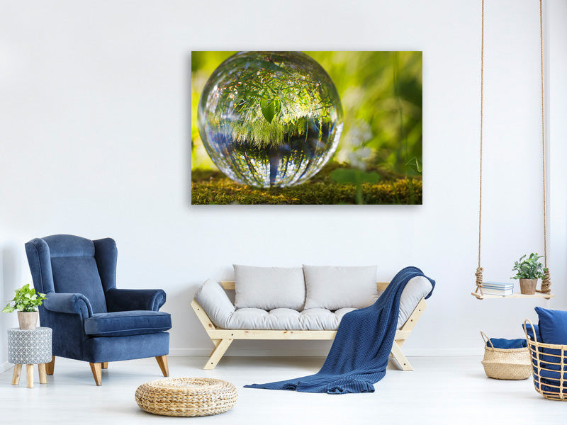 modern-3-piece-canvas-print-nature-ball