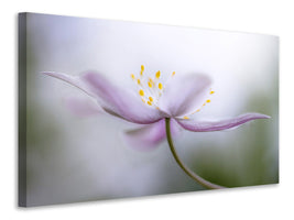 panoramic-3-piece-canvas-print-nemorosa-ii