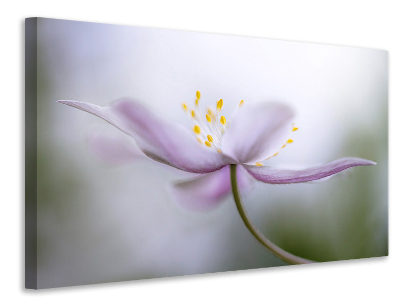 panoramic-3-piece-canvas-print-nemorosa-ii