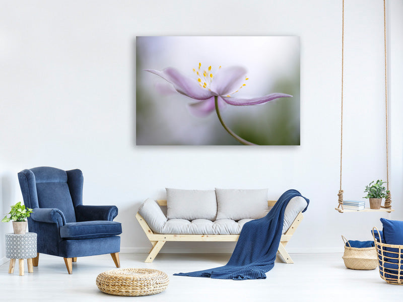 panoramic-3-piece-canvas-print-nemorosa-ii