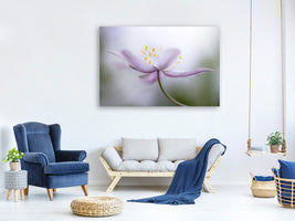 panoramic-canvas-print-nemorosa-ii