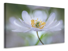 panoramic-3-piece-canvas-print-nemorosa-nirvana