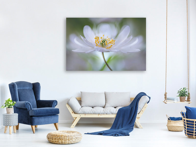 3-piece-canvas-print-nemorosa-nirvana