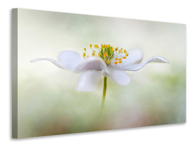 modern-3-piece-canvas-print-nemorosa