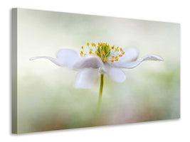 4-piece-canvas-print-nemorosa