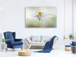 5-piece-canvas-print-nemorosa