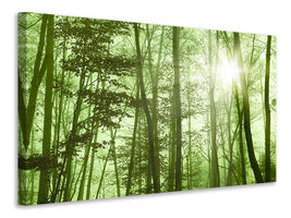 5-piece-canvas-print-nibelungen-forest
