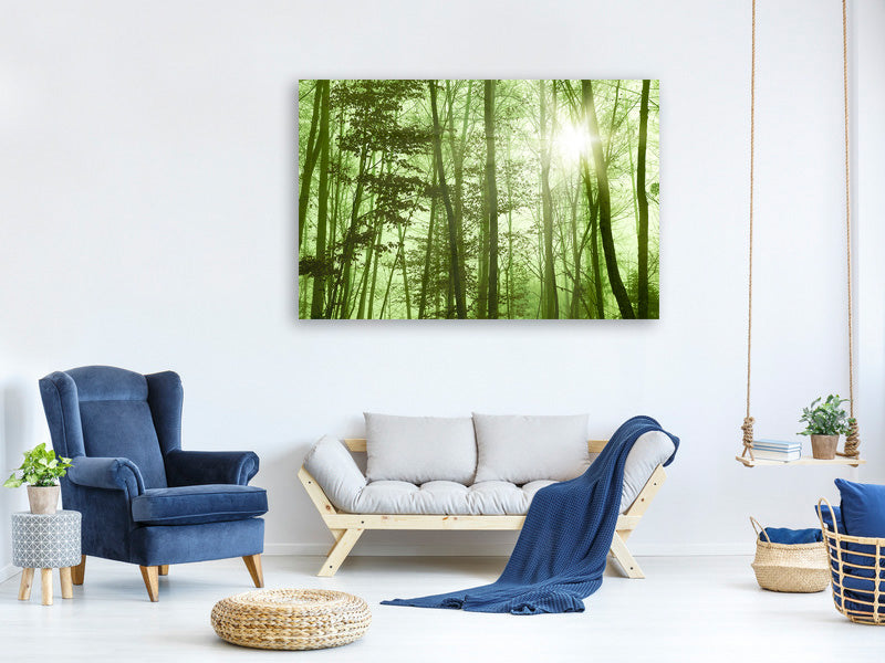 modern-4-piece-canvas-print-nibelungen-forest