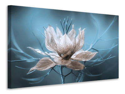 3-piece-canvas-print-nigella