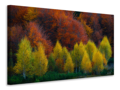 3-piece-canvas-print-nimbrethil