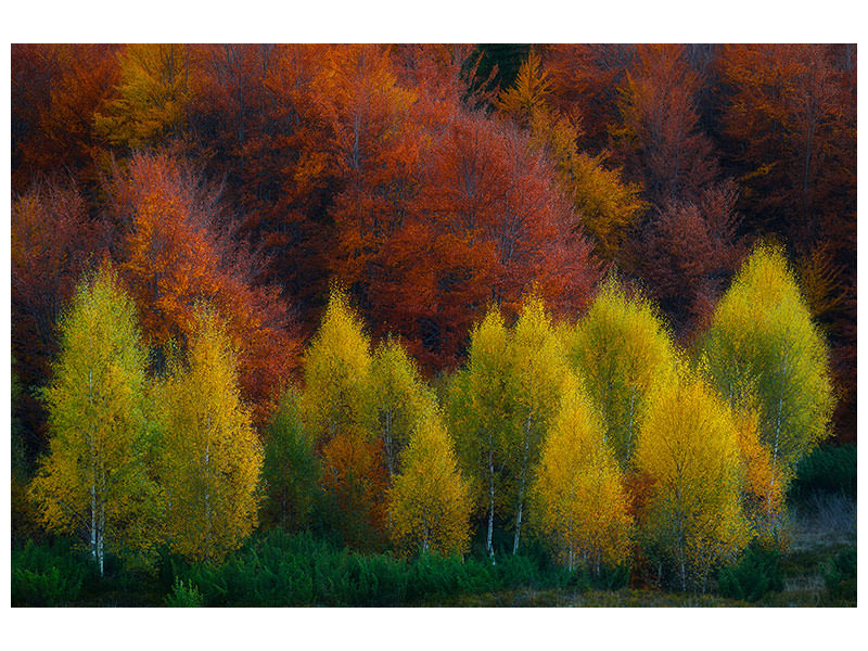 panoramic-3-piece-canvas-print-nimbrethil