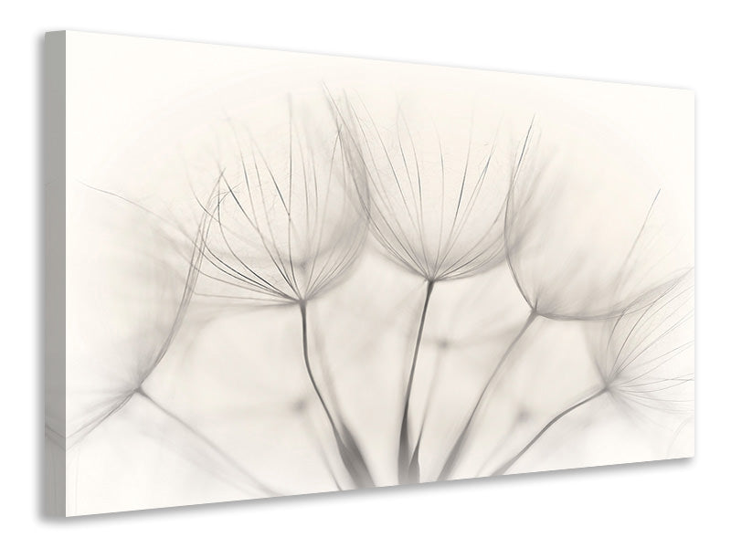 modern-4-piece-canvas-print-no-title